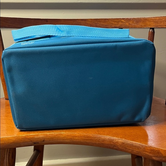 NWT Trader Joe’s Mini Insulated Lunch Bag in blue - Picture 5 of 9